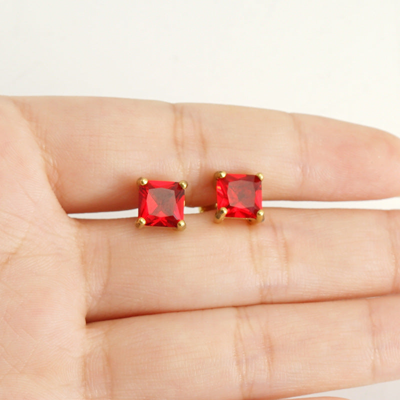 Zircon Inlaid Earring